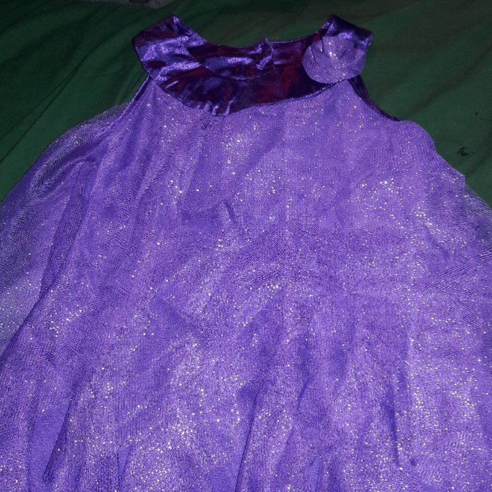 NWOT Pretty in Purple fancy dress